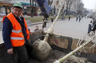 Чиновник, уволенный за поддельные каштаны, работал без контракта