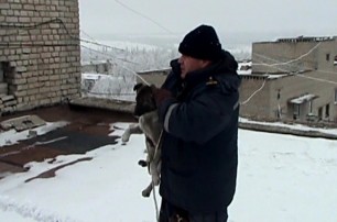 В Луганской области собаку-верхолаза спасли и приютили