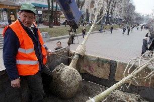 Киевляне украли за год роз на четверть миллиона гривен