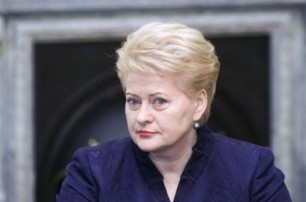 Литва будет поставлять вооружение Украине