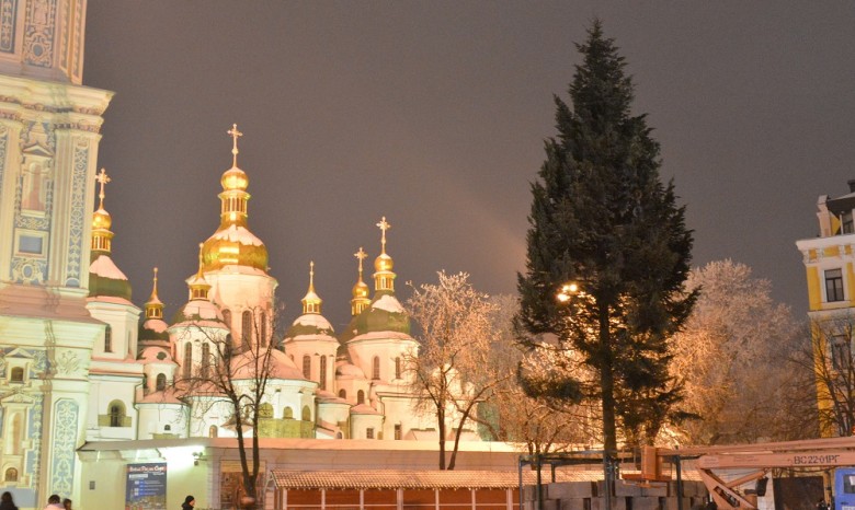 В Киеве установили главную елку страны